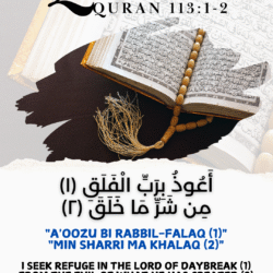 quran-1131-2